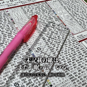印刷された鑑定シートの上に、店主愛用のピンクのペンと透明な定規が並ぶ。これから始まる鑑定を待つ、静止した時間。