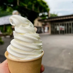 岐阜県郡上市の「道の駅 古今伝授の里やまと」にて、店主が片手で持つカップ入りのソフトクリーム。きめ微細やかで美しいエッジの立った真っ白なソフトクリームが、背景の豊かな緑と木造の建物をバックに引き立っている様子。