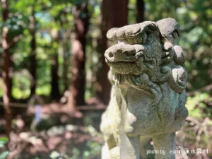 森の木漏れ日を浴び、長い歳月を経て苔むした狛犬が、参道を静かに見守っている。石の表面の細かな凹凸や、自然の時の流れを感じさせる風合いが克明に写し出されている。