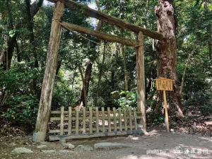 樹皮を剥がさず、ありのままの木肌を残した原始的な木造の鳥居。足元には太い注連縄が固く結ばれ、その先に広がる「入らずの森」の深遠で薄暗い静寂が、境界線の向こう側からこちらに圧をかけてくる。