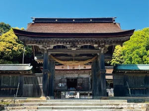 抜けるような五月の青空を背景に、威風堂々と鎮座する茅葺き屋根の拝殿。古木が刻んできた歴史の重みが、太い梁や柱の質感から静かに伝わってくる。
