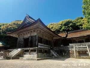 新緑に包まれた社殿の全景。柔らかな午後の光が社殿の木目を照らし出し、建築物と周囲の森が一体となって呼吸しているような荘厳な雰囲気が漂っている。