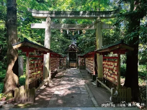 両脇に並ぶ絵馬の赤色が、深い森の緑の中で鮮やかに映える参道。木立の合間から差し込む光が石畳を照らし、その先にある小さな祠へと思いを誘う。