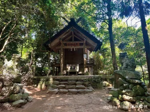 拝殿の斜め前からのアングル。歴史を重ねた木の建材と、その周囲を囲む鬱蒼とした森の緑が、空間全体に厚みと奥行きを与えている。