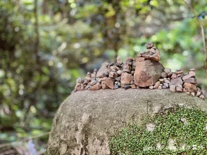 苔が生した大きな岩の上に、参拝者たちが願いを込めて積み上げた小さな石塔群。誰かの祈りが物理的な形となって、静寂の中にひっそりと熱を帯びて存在する様子。