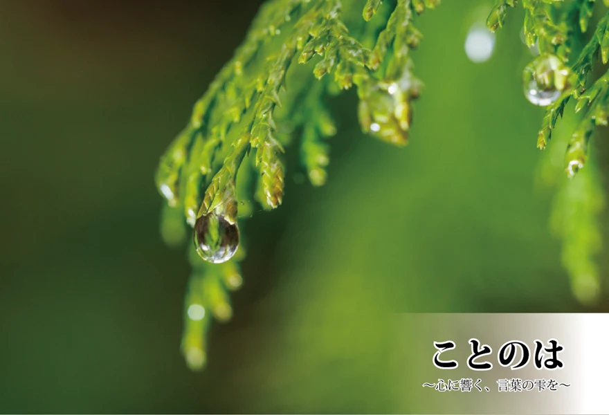 瑞々しい緑の杉のような葉の先から、いまにもこぼれ落ちそうな、光を宿した透明な雨の雫（水滴）。背景は美しく鮮やかにぼかされています。右下には「ことのは 〜心に響く、言葉の雫を〜」という文字が配置されています。