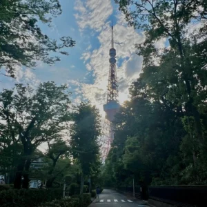 増上寺とプリンスホテルの間、木々に囲まれた細い道。そこから頭上を見上げると、木立の隙間に東京タワーの鉄骨が突き抜けるようにそびえ立っている。雨上がりの濡れた路面が街の光を反射し、静寂と都市の境界に立っているような奥行きがある。