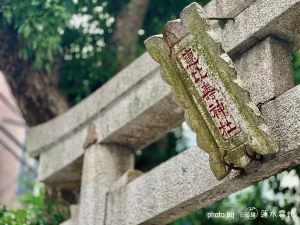 鳥居の最上部の貫に掲げられた、石造りの扁額の接写。赤い塗料で刻まれた「惠比壽神社」の文字が力強く、石の表面には長い歳月を感じさせる苔や地衣類が付着し、石の質感が硬質かつ立体的に浮き出ている。ピントは額の文字に合っており、周囲の緑は柔らかくぼかされている。