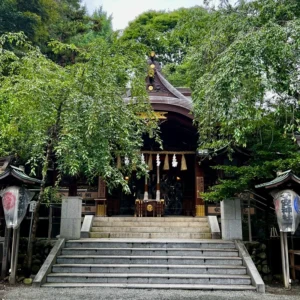 石段の上に厳かに佇む子安神社の御本殿。周囲は深い緑の木々に囲まれ、静寂に包まれている。拝殿の軒先には神紋が輝き、注連縄が下がっている。石畳の参道と、それを覆うように枝を伸ばす垂れ桜の緑が美しいコントラストを描いている。