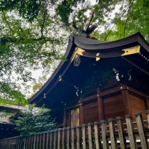 子安神社の本殿の、力強い軒先と神明造りの屋根を写し取った一枚。濃い緑の木立を背景に、重厚な木の質感と、屋根の頂点にある金色の装飾が美しく映える。空に向かって真っ直ぐに伸びる千木(ちぎ)が、神聖な気配を強調している。