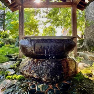 米沢・松岬神社の境内にある手水舎。木々の隙間から神聖な光が真っ直ぐに差し込み、苔むした岩の上にしつらえられた「心洗」と彫られた重厚な石の水盤から、清らかな水が静かに滴り落ちて水面に繊細な波紋を広げている、厳かな情景。