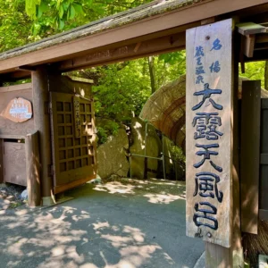 蔵王温泉の大露天風呂へと続く入り口の佇まい。名湯の看板が掲げられた趣のある木製の門の向こう側に、豊かな緑の木々と岩肌が広がり、温泉の湯気と深い木々の香りが漂ってくるような静寂に満ちた小径。
